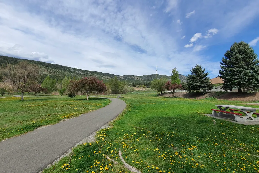 Paved park path curving through a green meadow of yellow dandelions beside a picnic table